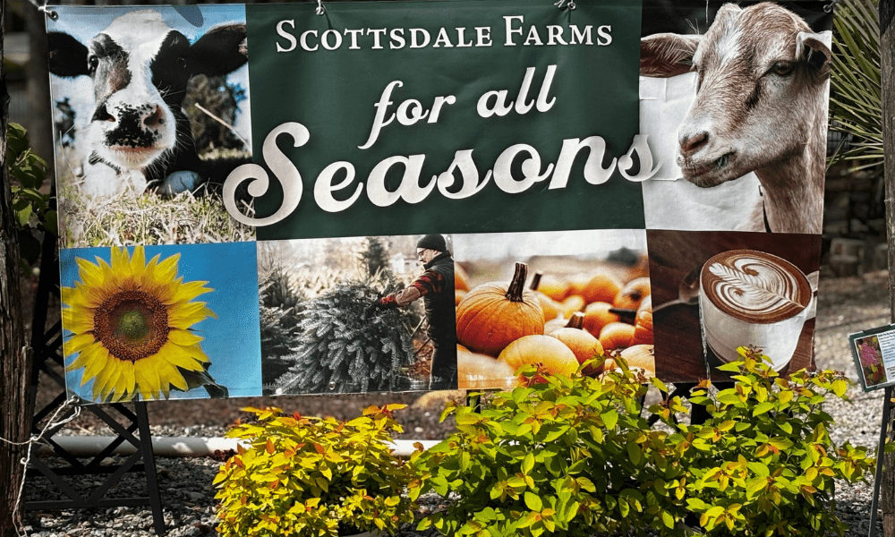 Take Your Mother on a Garden Field Trip to Celeb...