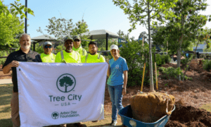 City of Fayetteville Plants Two Trees for Nation...