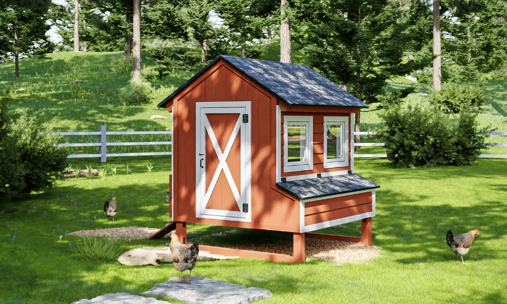 Keeping Backyard Chickens