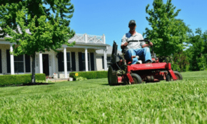 Lawn Care App GreenPal Launches in Peachtree City