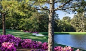 Gardens of the Green Jacket – the Masterful Gard...