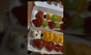 5 Things You MUST DO at Panda Fest Atlanta Next ...