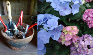 Five Easy Gardening Hacks