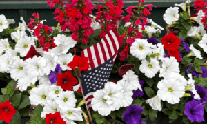 America the Beautiful: Creating a Patriotic Gard...