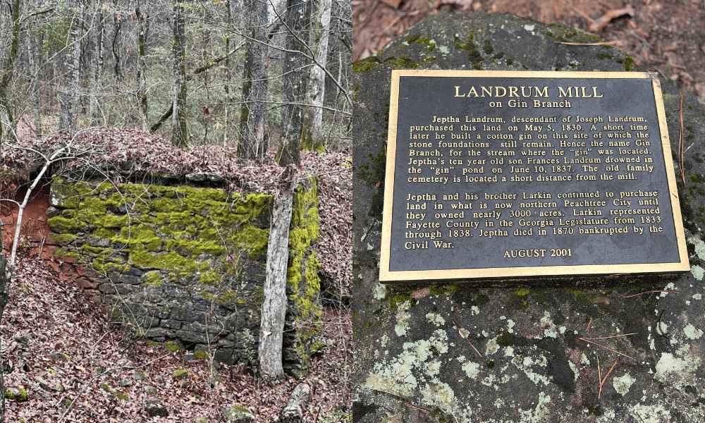 Where Nature Meets History: Exploring Peachtree City’s Gin Branch Trails