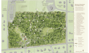 Newnan Arboretum Debate Raises Questions About C...