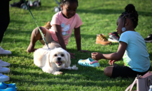 Fayette County Parks and Recreation Invites Comm...