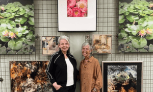 Peachtree City Library Art Initiative Announces ...