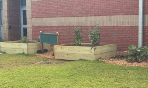 Keep Newnan Beautiful Brings Outdoor STEM Class...