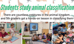 Students study animal classification