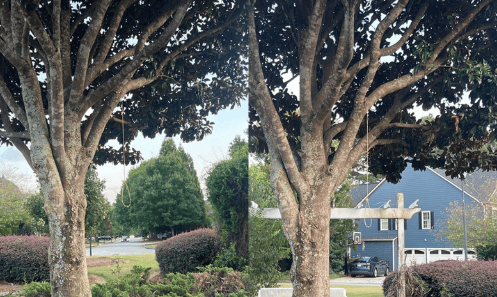 Noose Found Hanging From Tree in Peachtree City ...