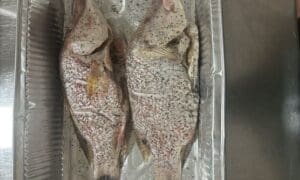 The Eating Chambers on Much More than Fish and G...