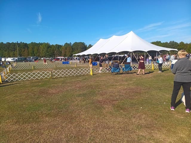 Show rings and a white tent at the Coweta County Fairgrounds during the Town & Country Weekend Dog Show.