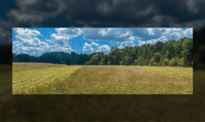 Southern Conservation Trust Launches 10-Year For...