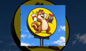 Big Chipmunk in the Sky