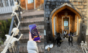 Take a Spooky Tour of Local Halloween Displays, ...