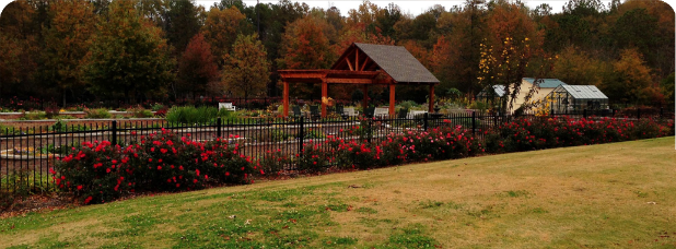 Landscaping clinic June 3