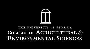 CAES students awarded scholarships