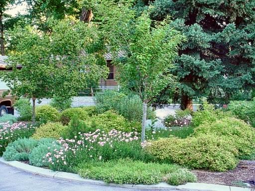 Winter gardening discussed Oct. 20