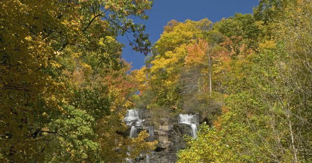 Fall Free Festival set for Oct. 25