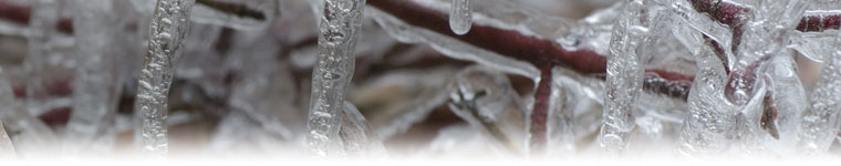 FSS helps gets ready for winter