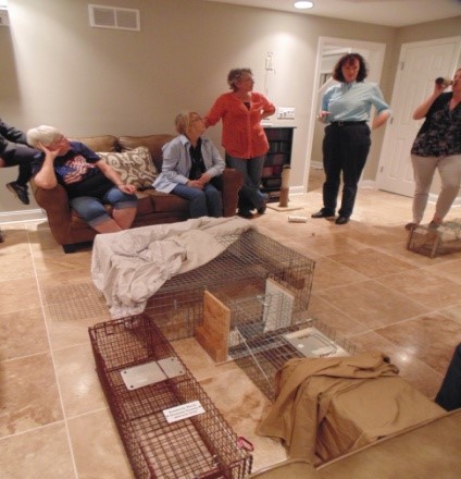 FHS working on feral cat population