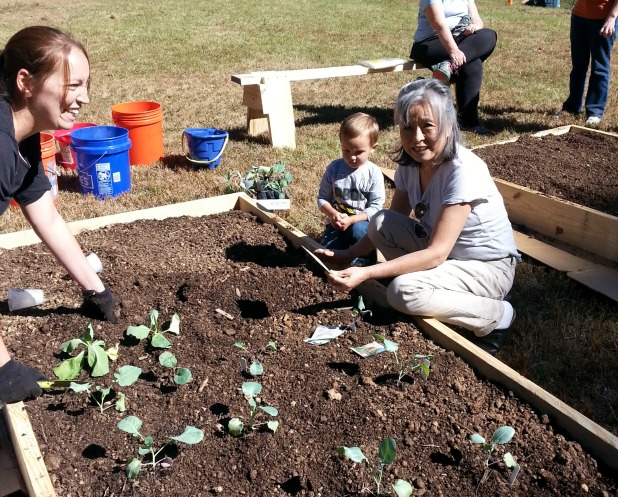 Tyrone Garden 30290 underway