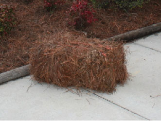 Pine straw sale underway