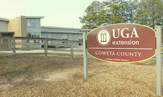 MGEV scholarships available