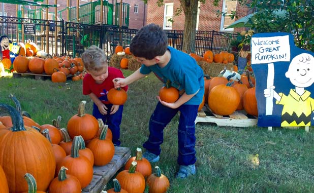 Great Pumpkins for great cause at Fayetteville F...
