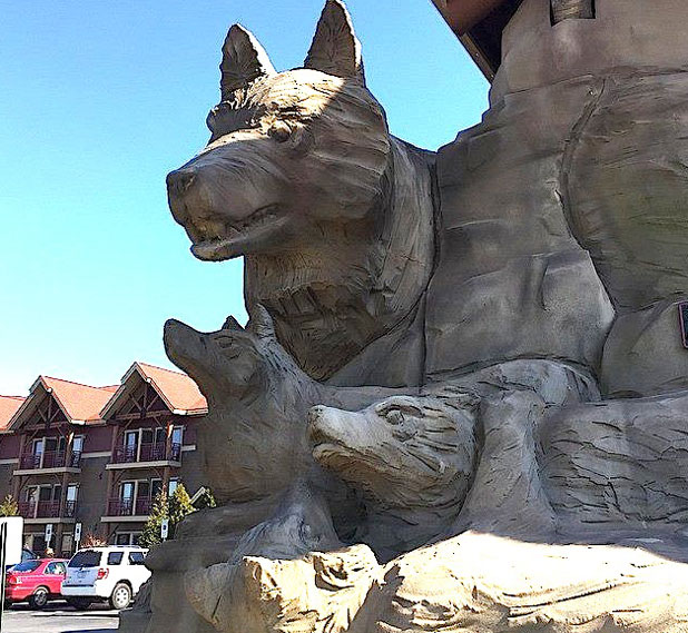 F’ville may want what PTC didn’t: Great Wolf Lodge