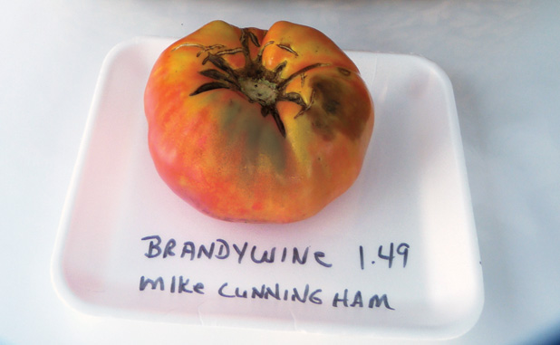 Now that’s a tomato