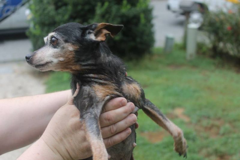 Citizen complaints lead to PTC bust