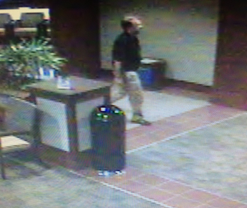 Senoia man arrested for prescription theft at Pi...