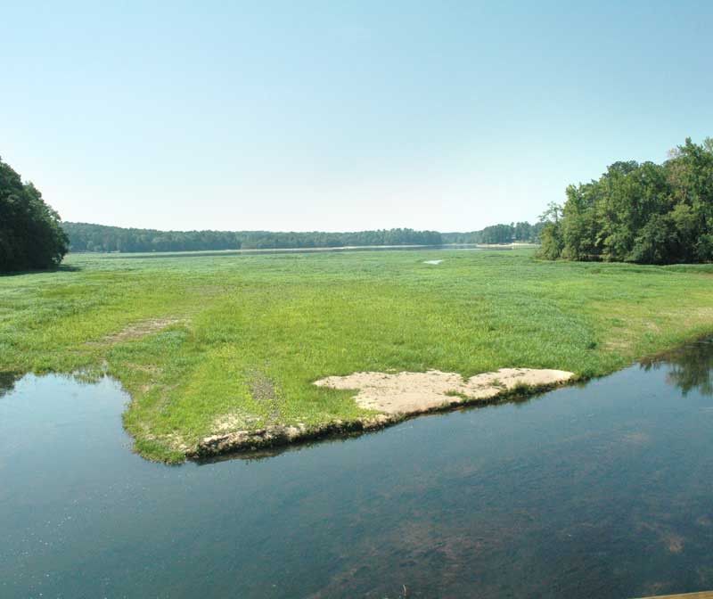 PTC votes $50K to clear lakebed